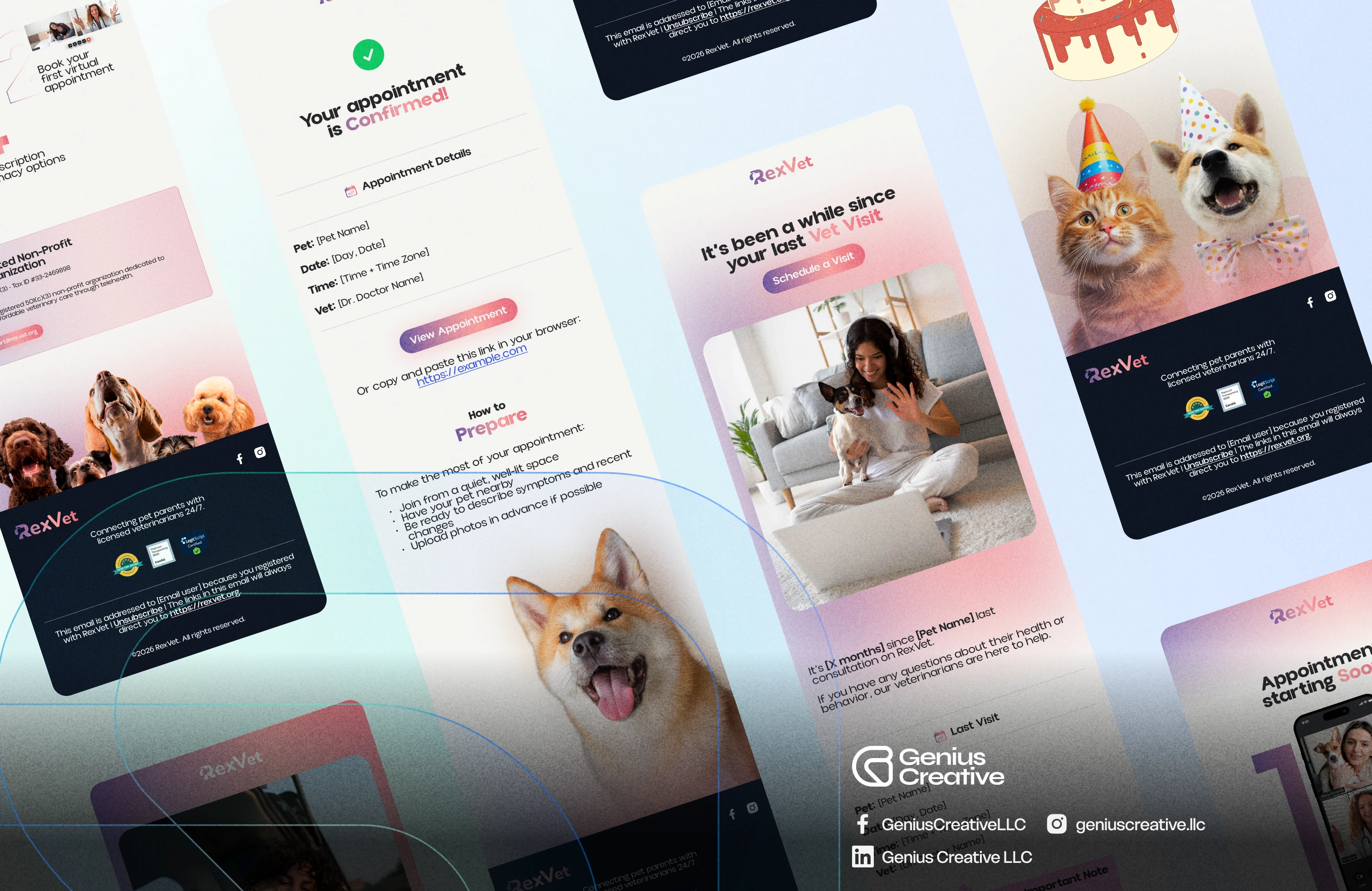 RexVet gallery 2